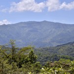 Loma Miranda una montaña con características excepcionales